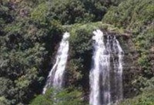 Kauai - Waimea Canyon and Wailua River Tour